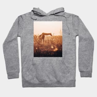 South African Giraffe Hoodie